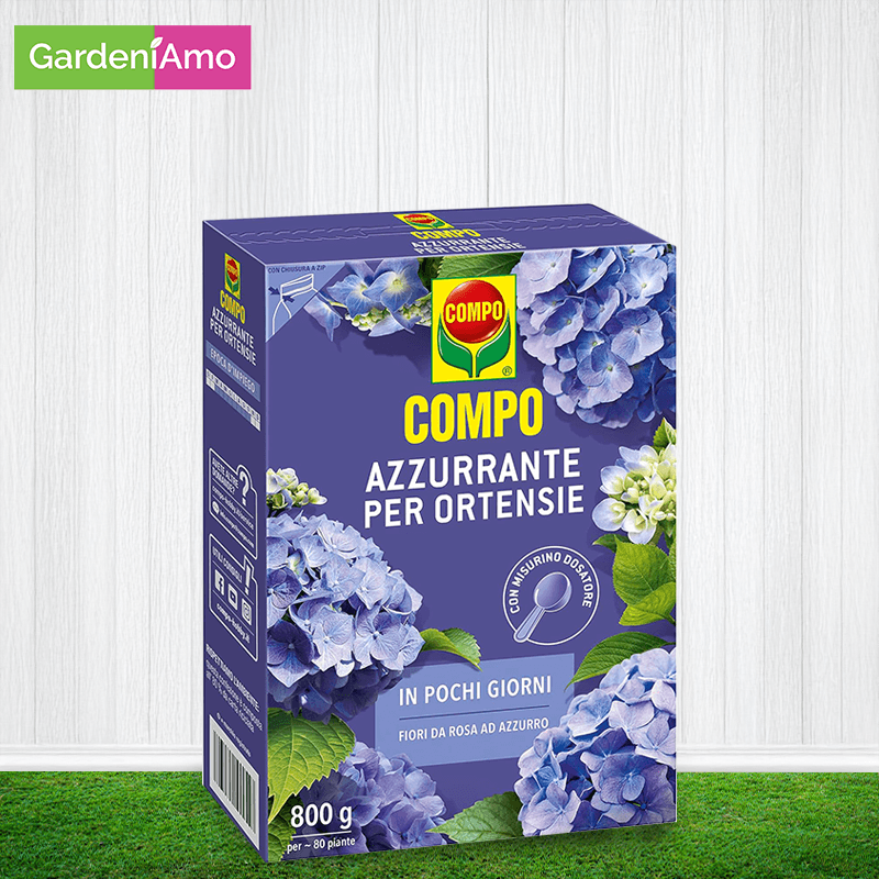 Compo Azzurrante Ortensie 800 G