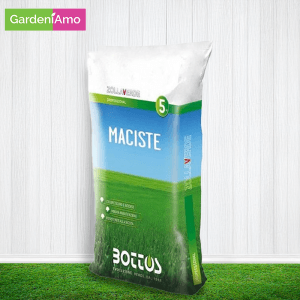 Seme Prato Maciste 5 KG