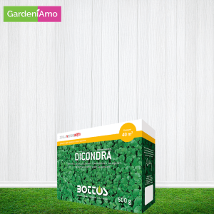 Seme Prato Dicondra Repens da 500 gr