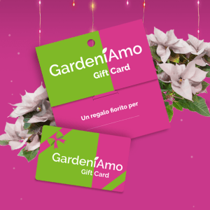 Gift Card da 50 €