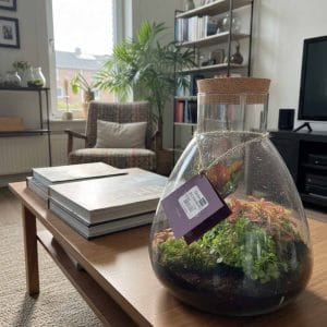 Terrario Ampolla in vetro