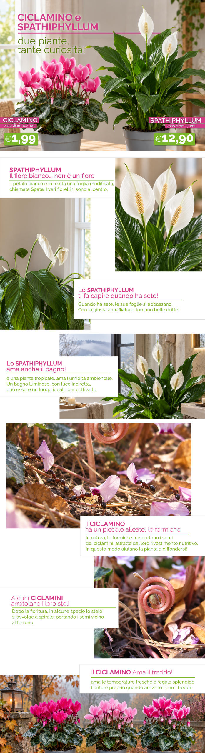 Gardeniamo